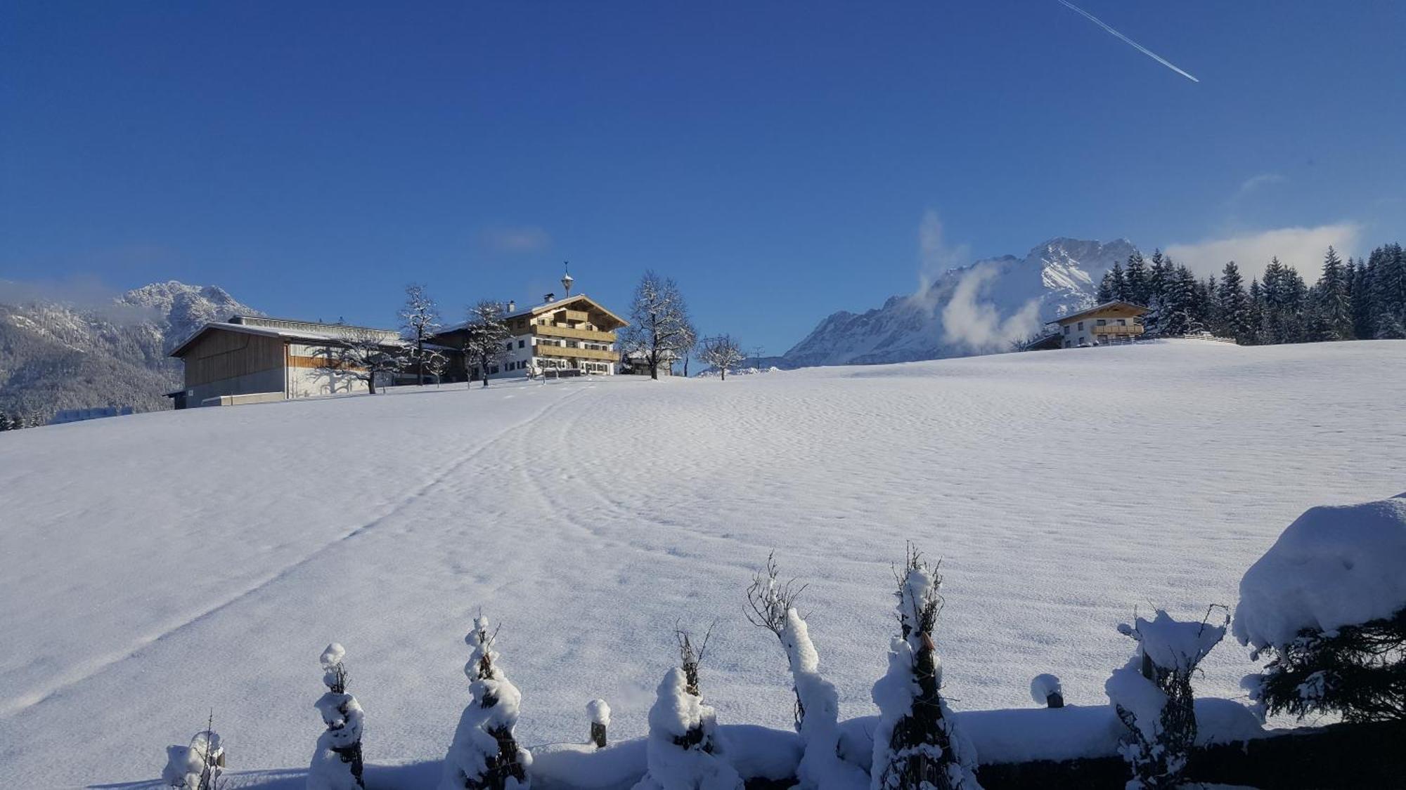 Appartement Seebacher Hochfilzen Eksteriør billede