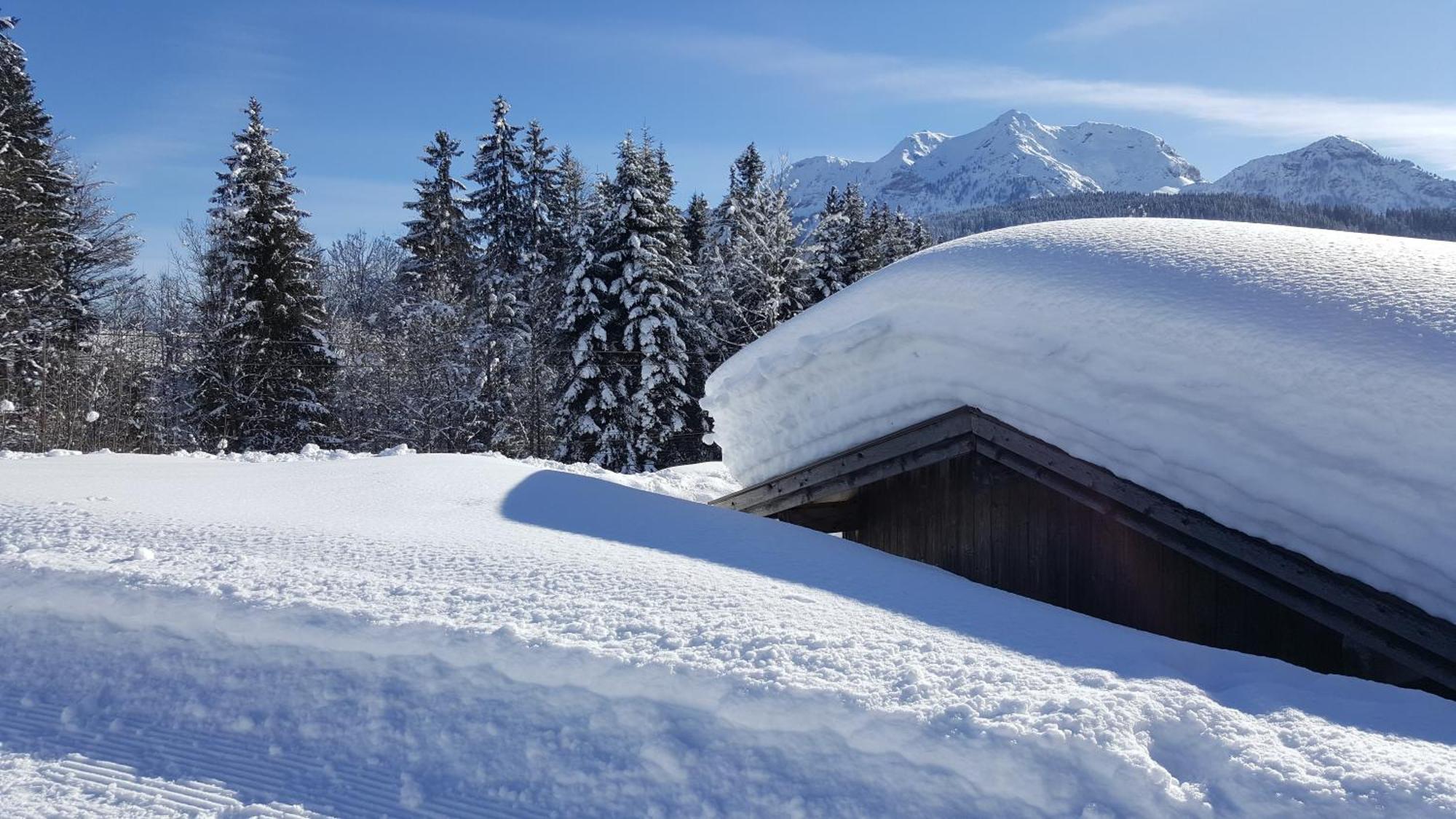 Appartement Seebacher Hochfilzen Eksteriør billede