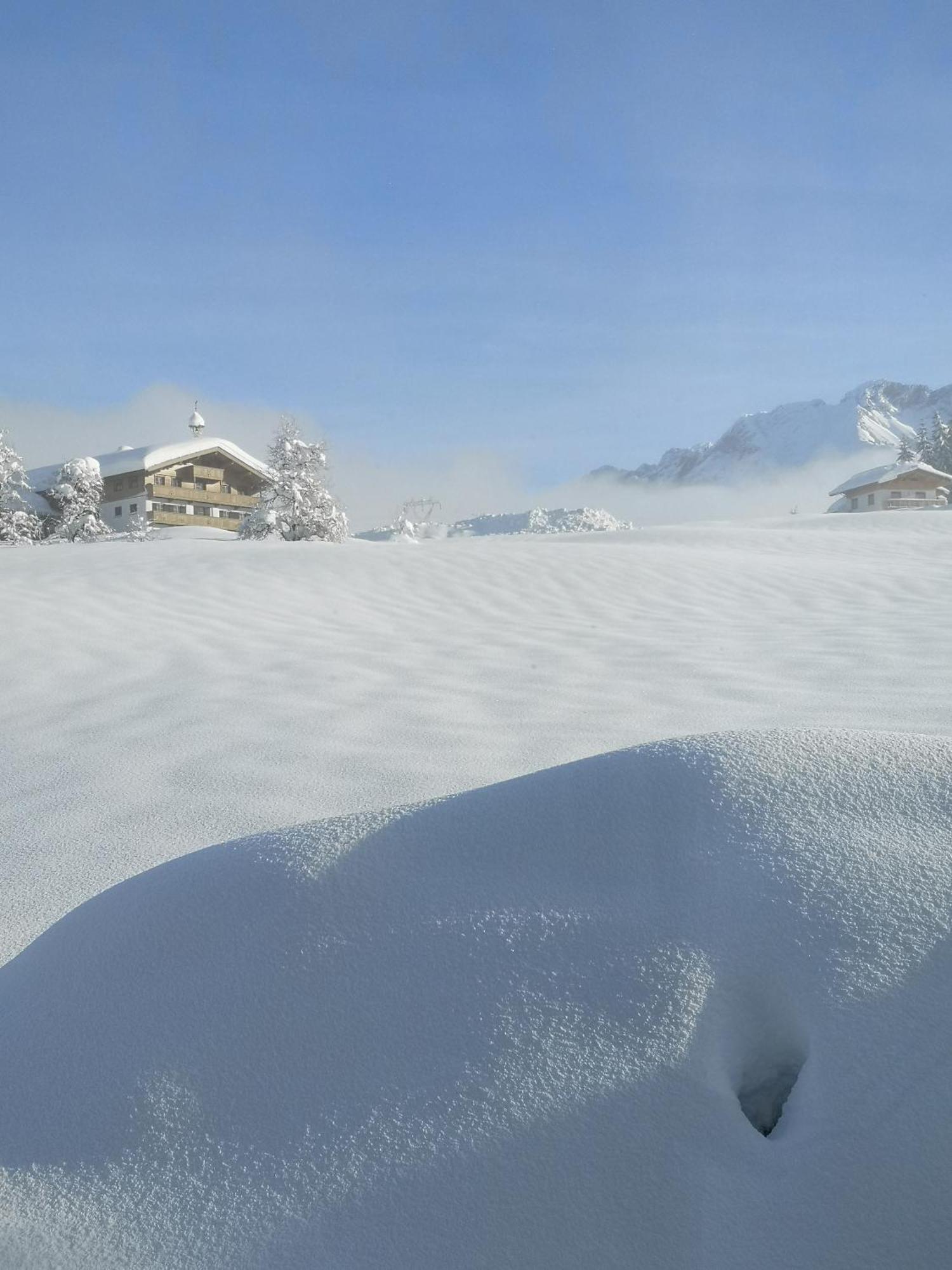 Appartement Seebacher Hochfilzen Eksteriør billede