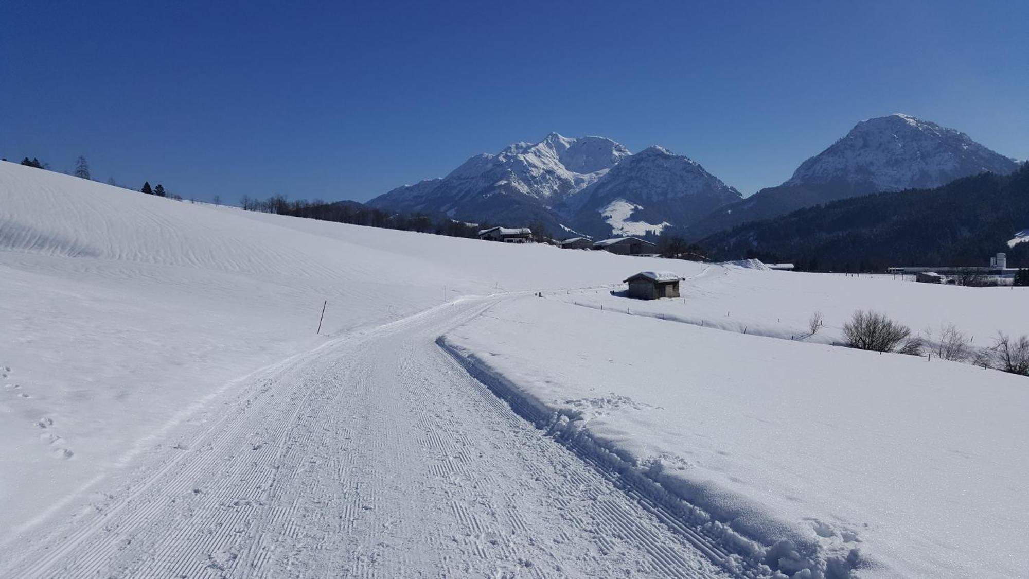 Appartement Seebacher Hochfilzen Eksteriør billede