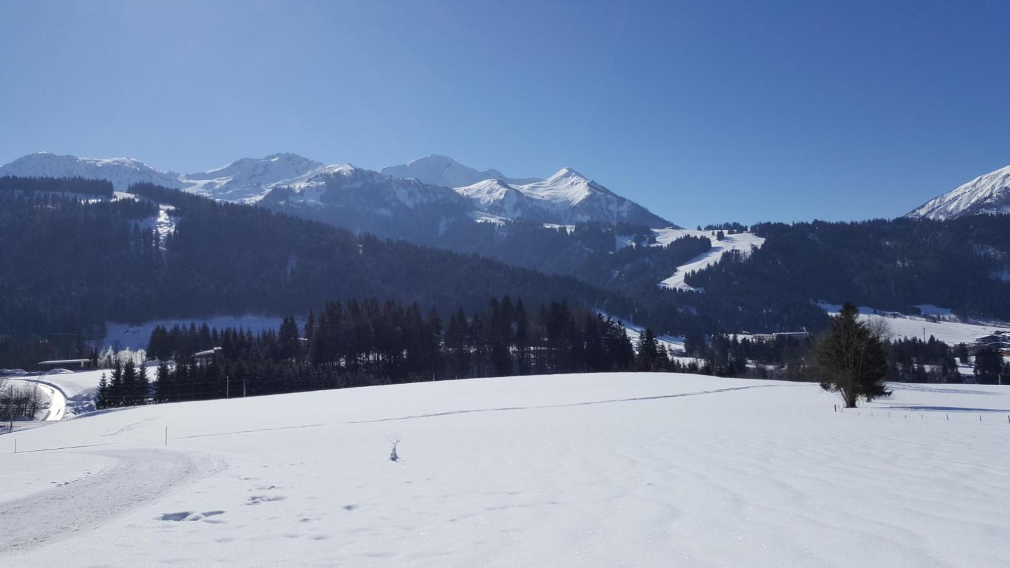 Appartement Seebacher Hochfilzen Eksteriør billede