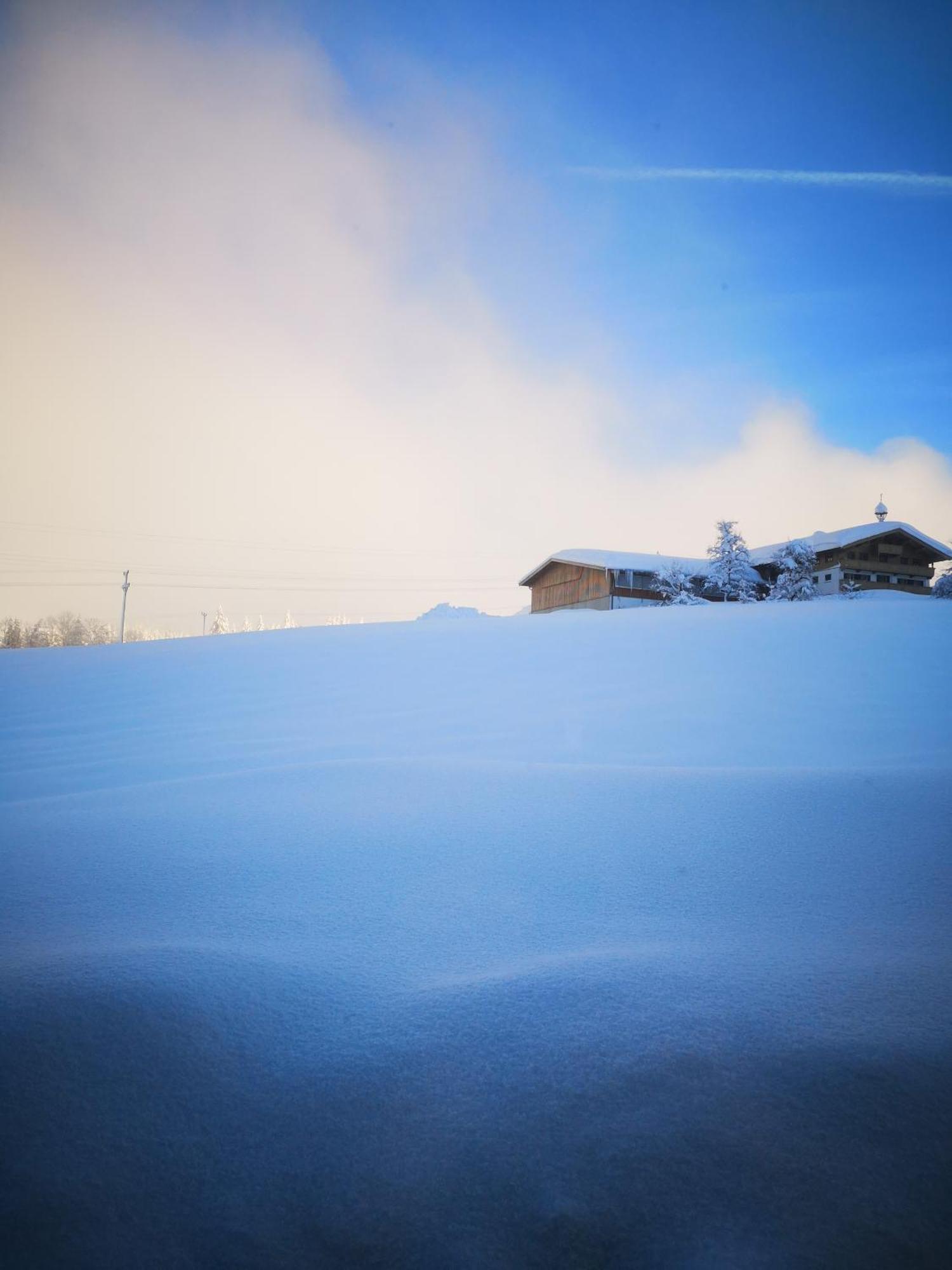 Appartement Seebacher Hochfilzen Eksteriør billede