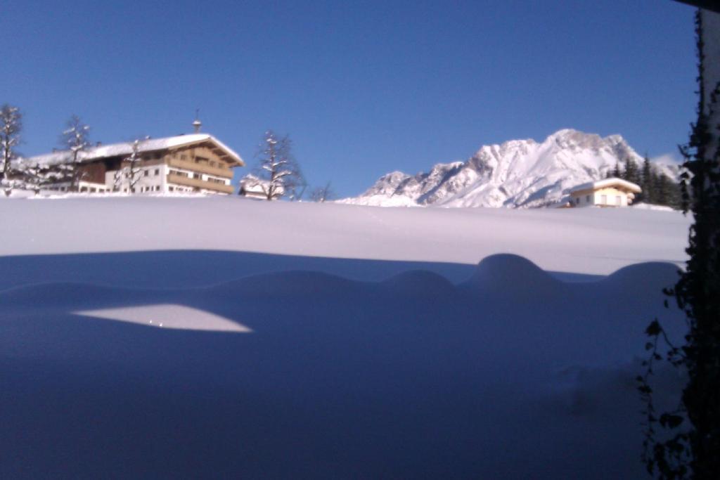 Appartement Seebacher Hochfilzen Eksteriør billede