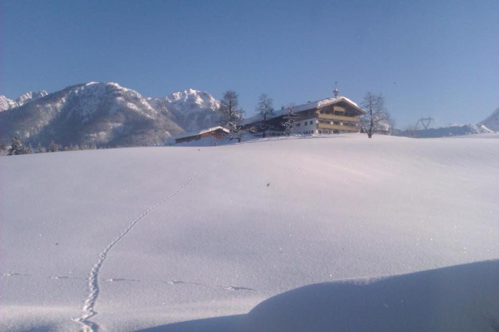Appartement Seebacher Hochfilzen Eksteriør billede