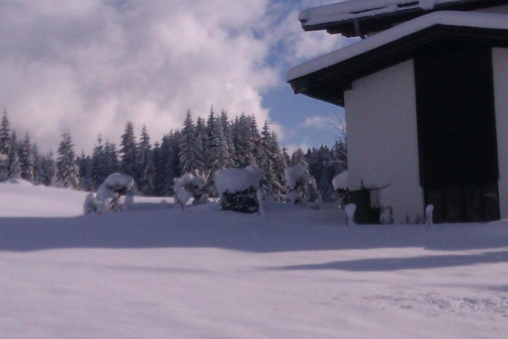 Appartement Seebacher Hochfilzen Eksteriør billede